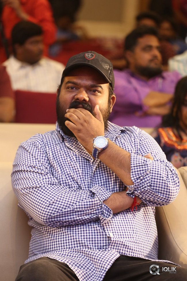 Bheeshma-Movie-Successmeet